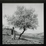 Böhl glass slide 60./1448